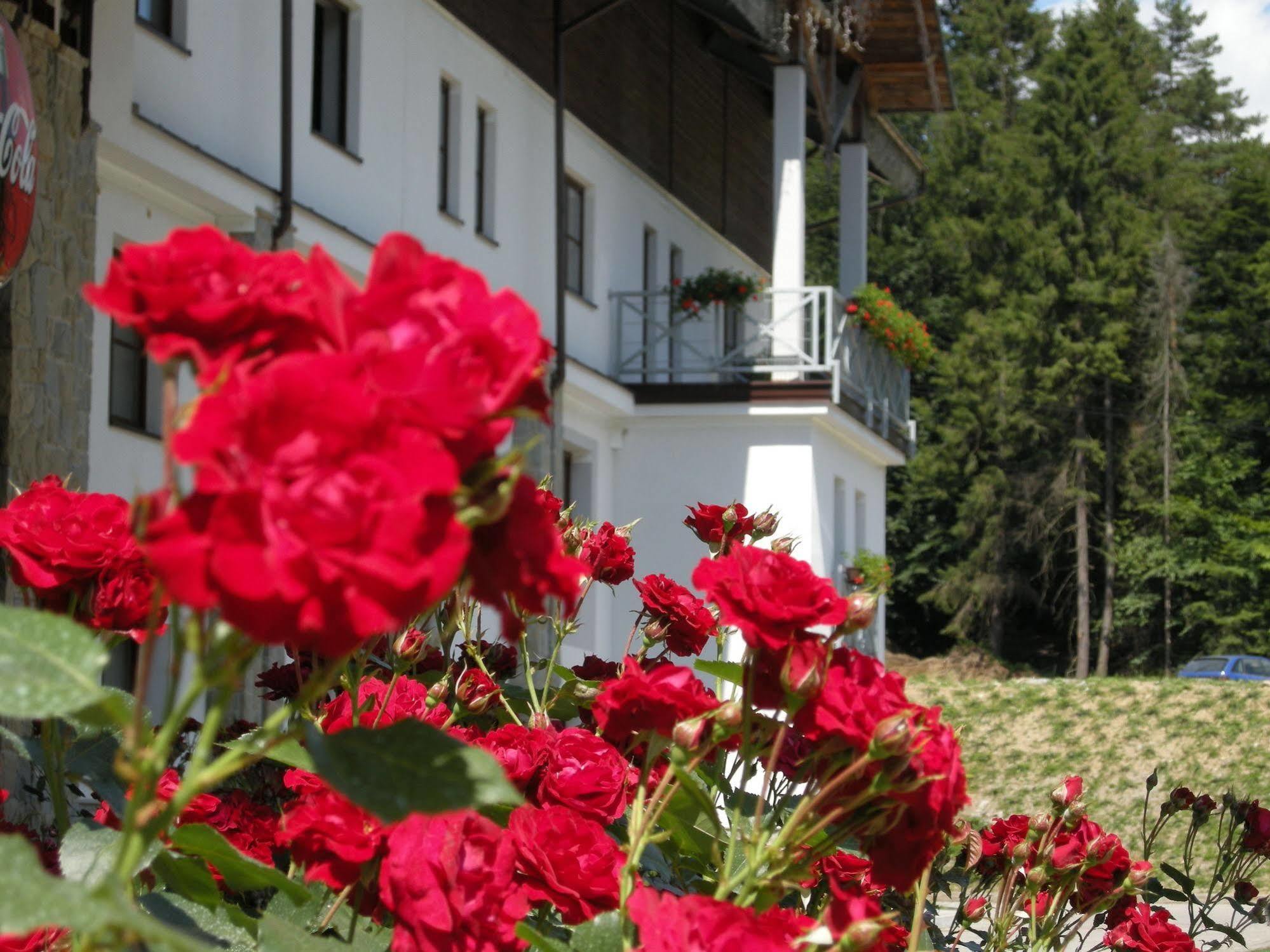 Hotel Jaworzyna Krynicka Krynica Zdroj Exterior foto